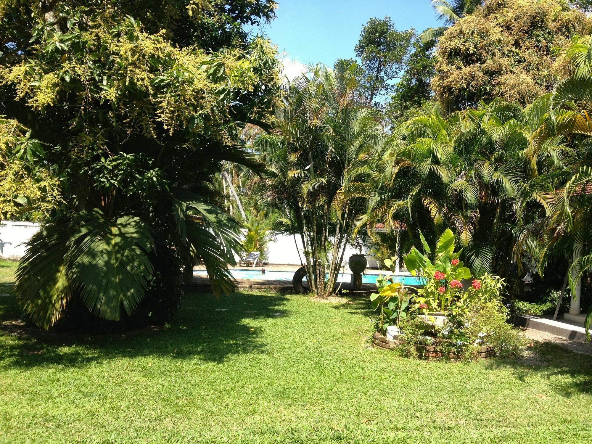 Hotel Fire Dragon Hideaway Negombo Exterior foto