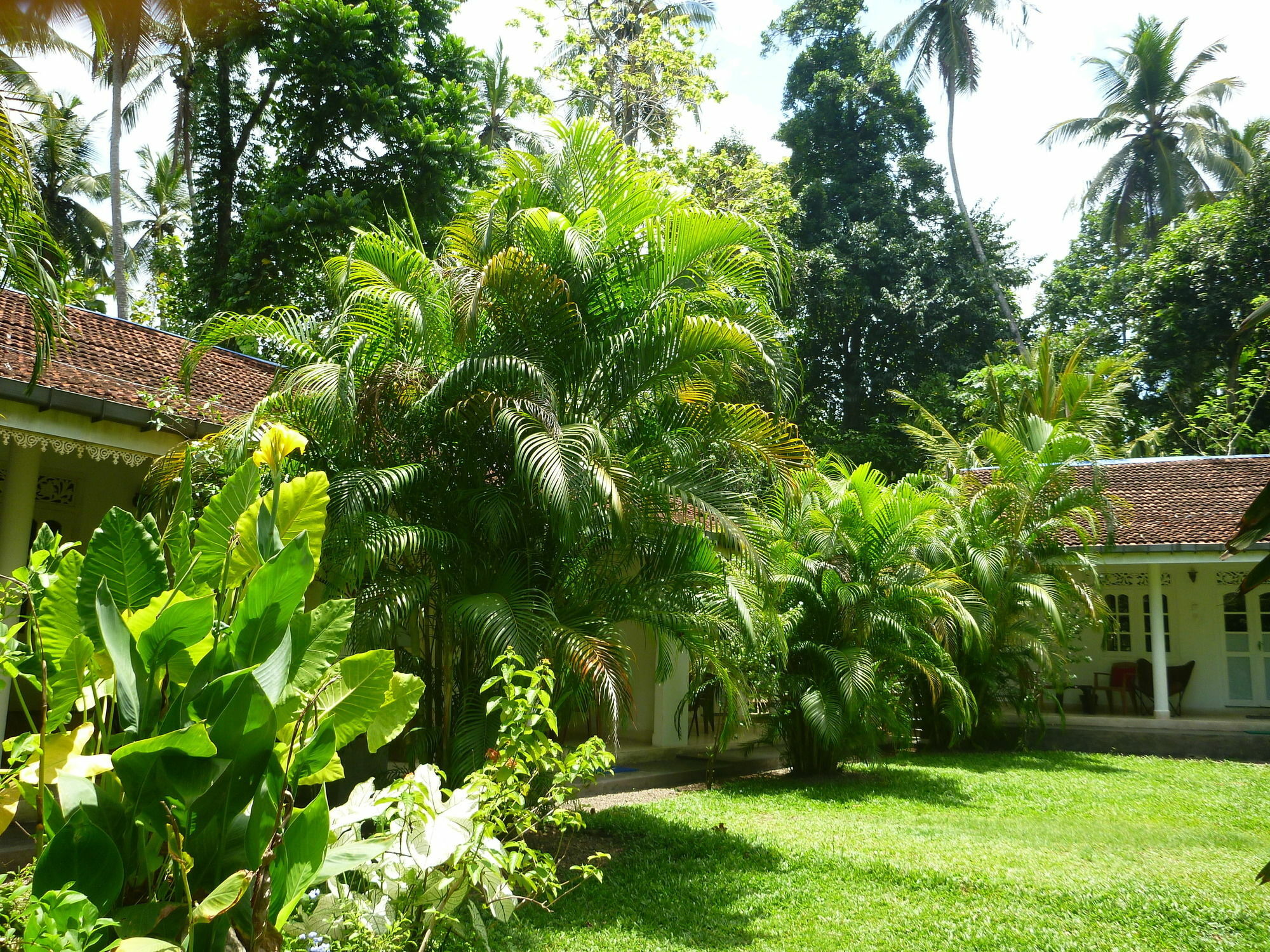 Hotel Fire Dragon Hideaway Negombo Exterior foto